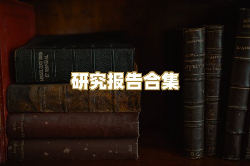 研究报告合集